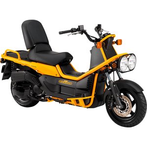 2004 - 2007 HONDA PS 250 BIG RUCKUS